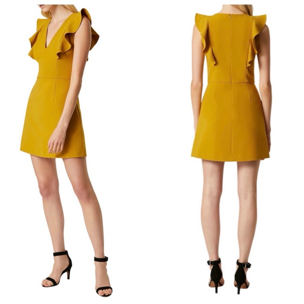 NWT French Connection Whisper Ruffle minidress